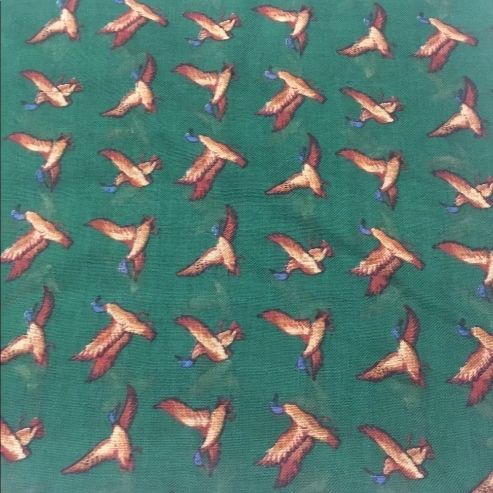 Nordstrom Green Scarf with Brown & Blue Duck Print